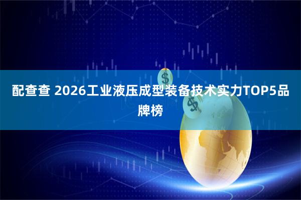 配查查 2026工业液压成型装备技术实力TOP5品牌榜