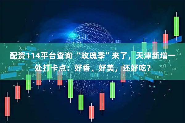 配资114平台查询 “玫瑰季”来了，天津新增一处打卡点：好香、好美，还好吃？